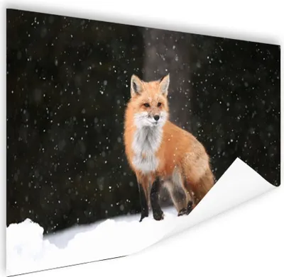 Produktbild von MuchoWow® Poster Fuchs - Schnee - Winter 180x120 cm - Fotoplakat
