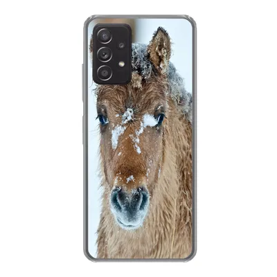 Produktbild von MuchoWow® Handyhülle Schutzhülle Hülle für Samsung galaxy a73 Junges Fjordpferd mit Schnee bedeckt Silikon Softcase Handy Hülle - Handyhülle
