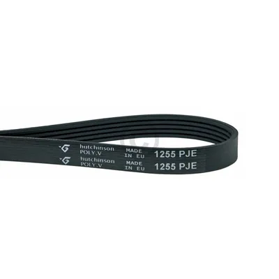 Immagine prodotto di Cinghia Europart con nervatura a V 1255 PJ 5 E come BOSCH 00439490 per lavatrice