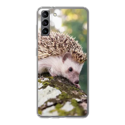 Produktbild von MuchoWow® Handyhülle Schutzhülle Hülle für Samsung Galaxy S21 Plus Baby - Igel - Baum Silikon Softcase Handy Hülle - Handy-Tasche
