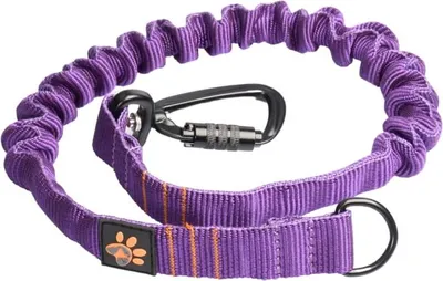 Immagine prodotto di Paracolpi JoQu Strong per cani di taglia grande, viola