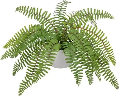 Immagine prodotto di Piante artificiali in vaso per la decorazione di interni