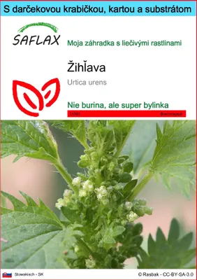 Obrázok produktu pre SAFLAX Darčeková sada - žihľava - Urtica urens - 150 Semená - S darčekovou krabičkou, prepravným štítkom, darčekovou kartou a pestovateľským médiom