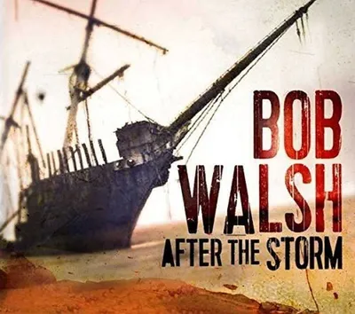 Obrázek produktu pro Bob Walsh - Po bouři