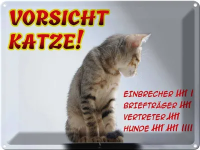 Produktbild von vianmo Blechschild 30x40 cm Vorsicht Katze Strichliste
