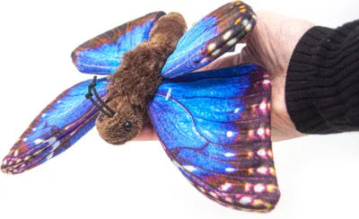 Image de Cornelissen - Peluche - Papillon morpho bleu - 21 cm
