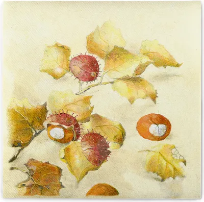 Produktbild von Airlaid Serviette Kastanie, 40 x 40 cm, 50 Stück - Mank - Herbst