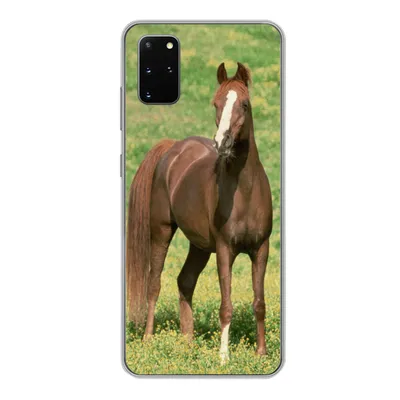 Produktbild von MuchoWow® Handyhülle Schutzhülle Hülle für Samsung Galaxy S20 Plus Pferde - Gras - Braun Silikon Softcase Handy Hülle - Hartschale