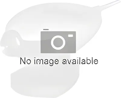 A placeholder image with a camera icon and text indicating no image is available.