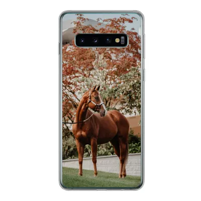 Produktbild von MuchoWow® Handyhülle Schutzhülle Hülle für Samsung Galaxy S10 Pferd - Baum - Halfter Silikon Softcase Handy Hülle - Handytasche