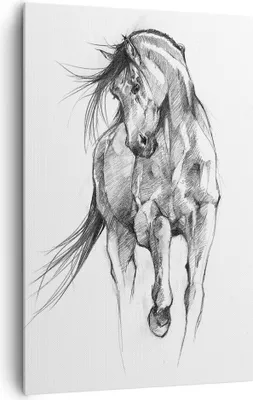 Produktbild von Bild auf Leinwand - Leinwandbild - Einteilig - Pferd Galopp Tier - 80x120cm - Wand Bild - Wanddeko - Wandbilder - Leinwanddruck - Wanddekoration - Leinwand bilder - Wandbild - PA80x120-5080