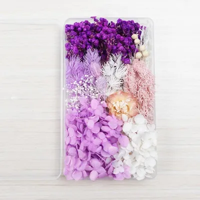 Zdjęcie produktu dla Suszone kwiaty do rękodzieła, fioletowo-białe, wymiary: 17,5 x 10 x 2,2 cm