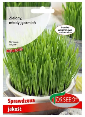 Zdjęcie produktu dla nasiona Zielony jęczmień 30g - Torseed