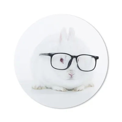 Produktbild von MuchoWow® Mauspad Mousepad Kaninchen - Brille - Hipster 20x20 cm - Mousepads - Maus Mat - Pad - Mausunterlage - Schreibtischmatte