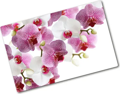 Produktbild von Tulup Glas Herdabdeckplatte - 80x52 cm - Glaskeramikkochfeld-Abdeckung Spritzschutz Glasabdeckplatte - Einteilig - Blumen & Pflanzen - Orchidee - Rosa