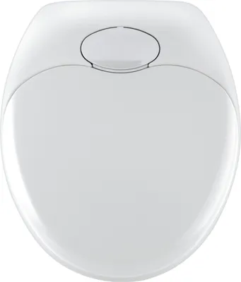 A top-down view of a white toilet seat.