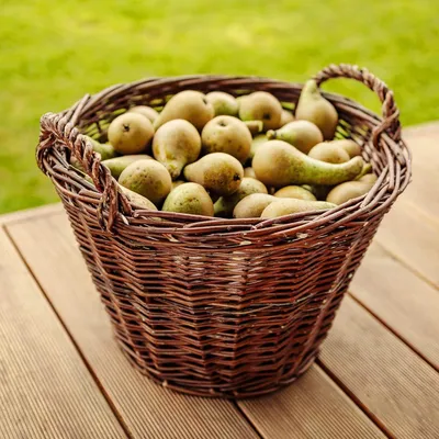 Immagine prodotto di Creative Home Cesto di Vimini con Manico | Grande 45 x 30 x 37 cm | Fatto a Mano | Cesto per Legna Frutta Giardino | Salice Marrone Naturale Spesso