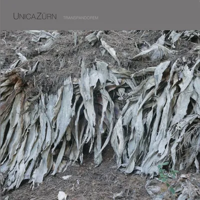 Immagine prodotto di UnicaZürn: Transpandorem su LP - OPEN GmbH - (LP / T)