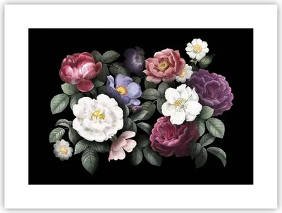 Produktbild von Poster - Poster ohne Rahmen - Blumen Blumenstrauß Komposition - 40x30 cm - Wand Bild - Wanddeko - Wandbilder - Kunstposter - Wandposter - Bilder - Kunstdruck - Wanddekoration - P2XAA40x30-5032