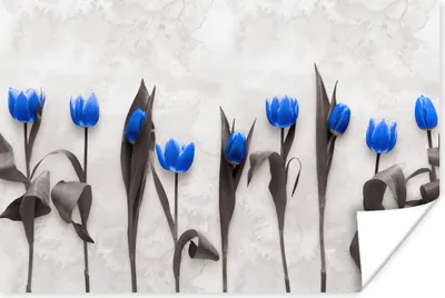 Produktbild von MuchoWow® Poster Blumen - Tulpen - Blau 180x120 cm - Fotoplakat