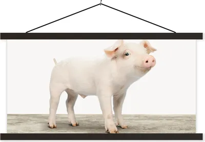 Produktbild von MuchoWow® Textilposter Ferkel - Groß - Tiere - Rosa - Jungen - Mädchen - Kinder 60x30 cm mit schwarzem Rahmen - Textilien