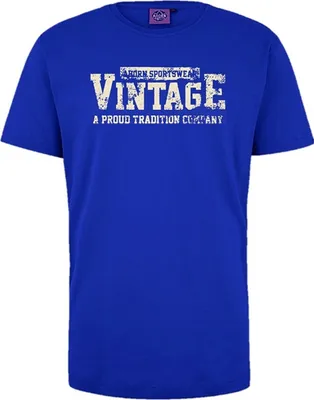 Produktbild von Übergrößen T-Shirt Vintage beige AHORN SPORTSWEAR Royalblau 6XL