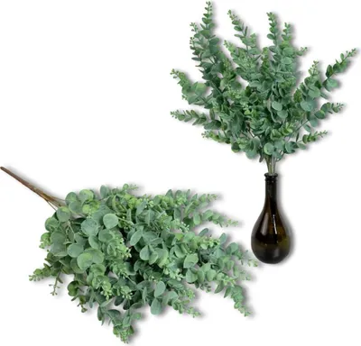 Image de Bouquet de feuilles - Eucalyptus 56 cm