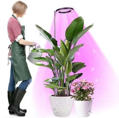 Immagine prodotto di Lampada LED per piante Unyqoos®, spettro completo 420–660 nm – altezza regolabile da 26 a 155 cm, 10 livelli di intensità e timer fino a 3912 h, ideale per piante da interno