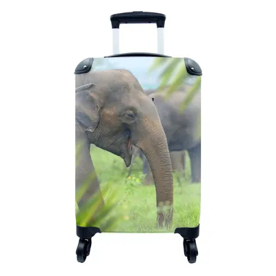 Produktbild von MuchoWow® Koffer Handgepäck Trolley Rollkoffer Kleine Reisekoffer mit 4 Rollen - Elefant - Palme - Tiere - Cabin Size < 55x40x23 cm & 55x40x20 cm - Fotokoffer - Kabinenkoffer - Boardgepäck - Reise-Box - Reisekoffer - Reisegepäck - Koffer mit Bild - Trolley für Kinder