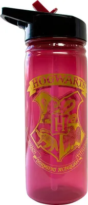 Imagen del producto de WARNER BROS. DISCOVERY - Botella Hogwarts Harry Potter 600ml