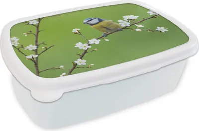 Produktbild von KitchenYeah® Lunchbox Brotzeit Brotdose 17x11 cm Blaumeise - Zweig - Blumen - Blühende Zweige - Vogel Kinder Brotzeitdose - Lunch Box - Kinder - Sandwich-Box - Schulbox - Lunch Boxen
