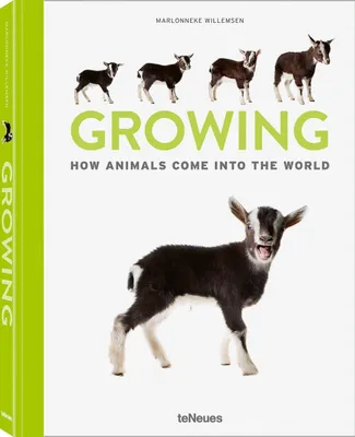 Image de Growing