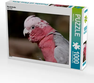 Produktbild von Calvendo Rosakakadu 1000 Teile Puzzle quer 640x480mm, Berg Martina; 7380733