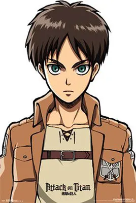 Produktbild von Attack On Titan Poster Eren  55,9 x 86,5 cm