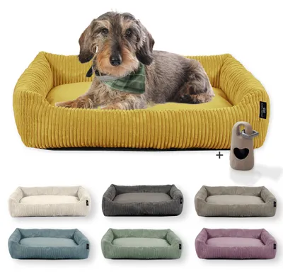 Produktbild von Rohrschneider Hundebett waschbar für kleine und mittelgroße Hunde mit Hundekissen Cord inkl. Gassibeutel, Farbe:senf, Muster:Cordstoff breit