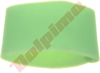Immagine prodotto di Filtro aria per Briggs & Stratton ( 273356S )