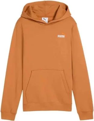 Immagine prodotto di Felpa con cappuccio Puma 685825-68 da Bambino