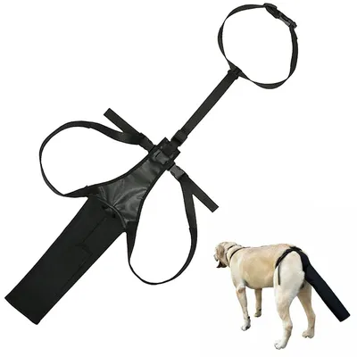 Produktbild von Hundeschwanzschutz, Atmungsaktives Schutzhundegeschirr für Wunden bei mittelgroßen und großen Hunden, Schwarz