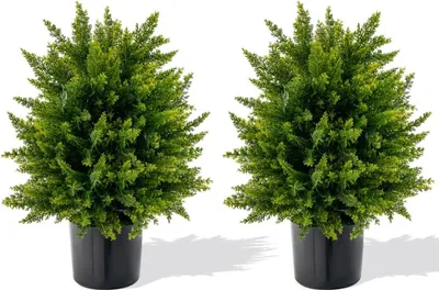 Image de Arbres topiaires artificiels en cèdre, lot de 2, 55 cm, résistants aux UV