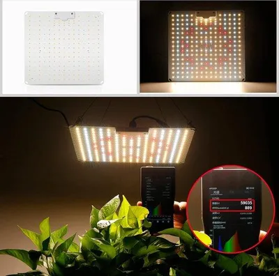 Zdjęcie produktu dla Lampa ogrodowa LED – pełne spektrum – do roślin –  kas – lampa LED