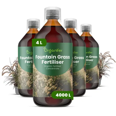 Produktbild von Brunnengras Flüssigdünger 2-1-8 NPK – 4x1L Flüssig-Pflanzendünger für strukturstarke Ziergräser – Organifer