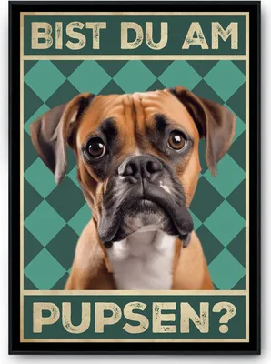 Produktbild von Boxer - Bist du am Pupsen? Hunde Poster Badezimmer Gästebad Wandbild Klo Toilette Dekoration Lustiges Gäste-WC Bild DIN A4 – DIN A4 mit Rahmen | Schwarz