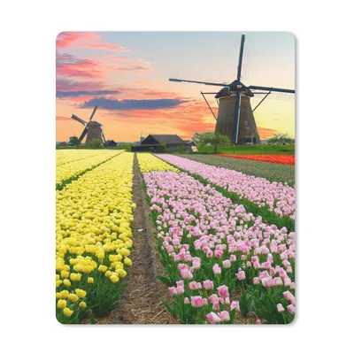 Produktbild von MuchoWow® Mauspad Mousepad Windmühle - Tulpen - Blumen - Niederlande 30x40 cm - Mousepads - Maus Mat - Pad - Mausunterlage - Mausmatten