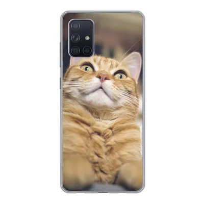 Produktbild von MuchoWow® Handyhülle Schutzhülle Hülle für Samsung Galaxy A51 Katze - Bank - Orange Silikon Softcase Handy Hülle - Schutzabdeckung