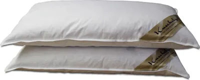 Produktbild von Kopfkissen Set Kuschelzeit in 40x80 cm - mit je 500 Gramm Füllung aus 70% Federn und 30% Daunen