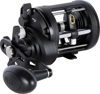 Produktbild von Penn Multirolle RVLII30LWLH Rival II 30LWLH Reel Box Meeresrolle