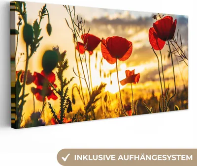 Produktbild von MuchoWow® - Leinwandbilder - Rote Mohnblumen bei Sonnenaufgang, Wandbild, Wanddeko Bilder Wohnzimmer, 80x40 cm