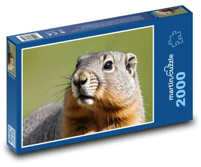 Obrázok produktu pre martinpuzzle - Puzzle 2000 - Svišt