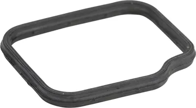 Produktbild von Fiat Wasserpumpendichtung 71753046