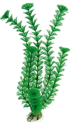 Produktbild von Ferplast Kunststoffpflanze Für Aquarium Blau 9061 5,5X2,5X30Cm